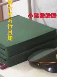 独占偏宠陆医生他蓄谋已久txt