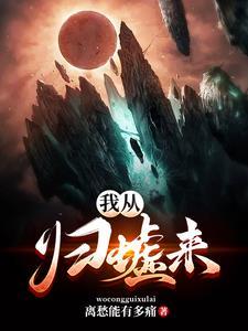公子的宠妻