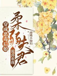 天途之旅第十五集