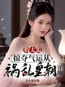 我嫁给了痴情王爷云婉如