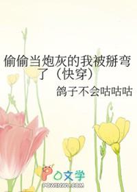 我在空中建座城百科
